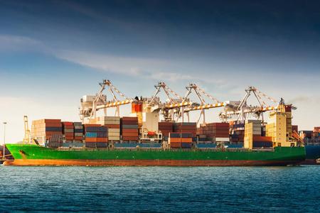 集装箱进出口海运工业. 港口海上和港口货运船厂的景观与起重机桥梁.
